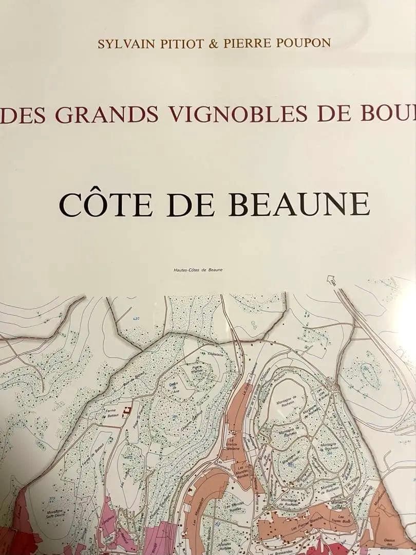 大型額装美品】ブルゴーニュ（ワイン）南北の詳細な葡萄畑の地図