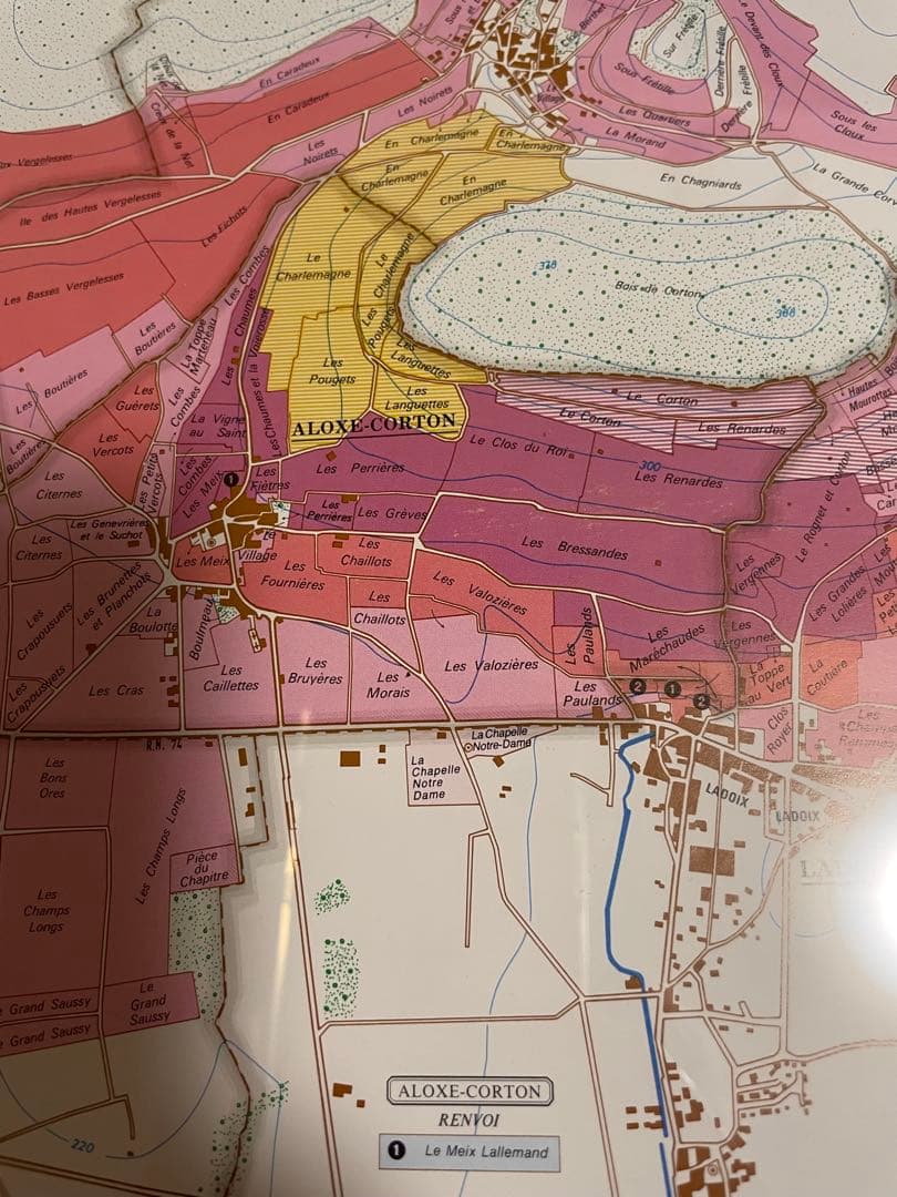 大型額装美品】ブルゴーニュ（ワイン）南北の詳細な葡萄畑の地図