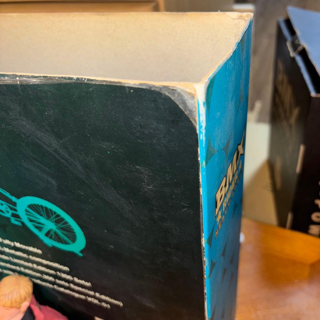 Did 1/6ストリート系フィギュア BMX★RIDER★※