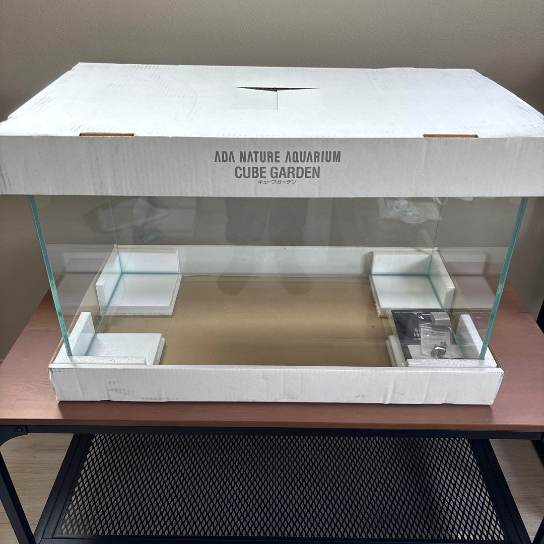 中大型水槽の主役 超ドラマティック流木 約60cm 爬虫類・両生類用