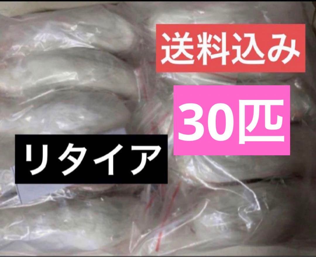 冷凍マウス リタイアマウス 30匹 約10cm ヘビ 爬虫類 冷凍えさ 同梱可 冷凍