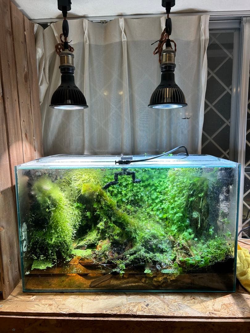 アクアテラリウム水槽 60規格水槽｜大自然 大型60 アクアテラリウム