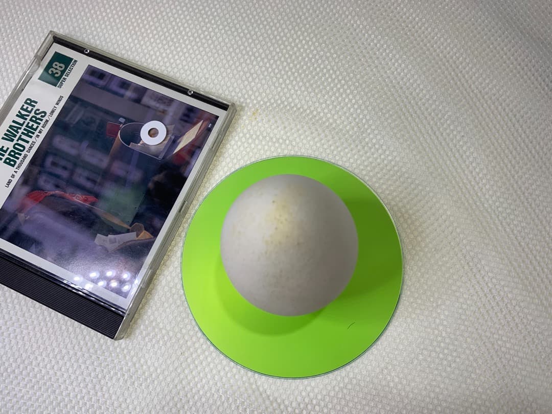 ガチョウの卵の殻 48個 エッグアート用 小売業者 ガチョウの卵の殻