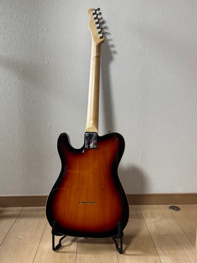 Bacchus テレキャスタータイプ