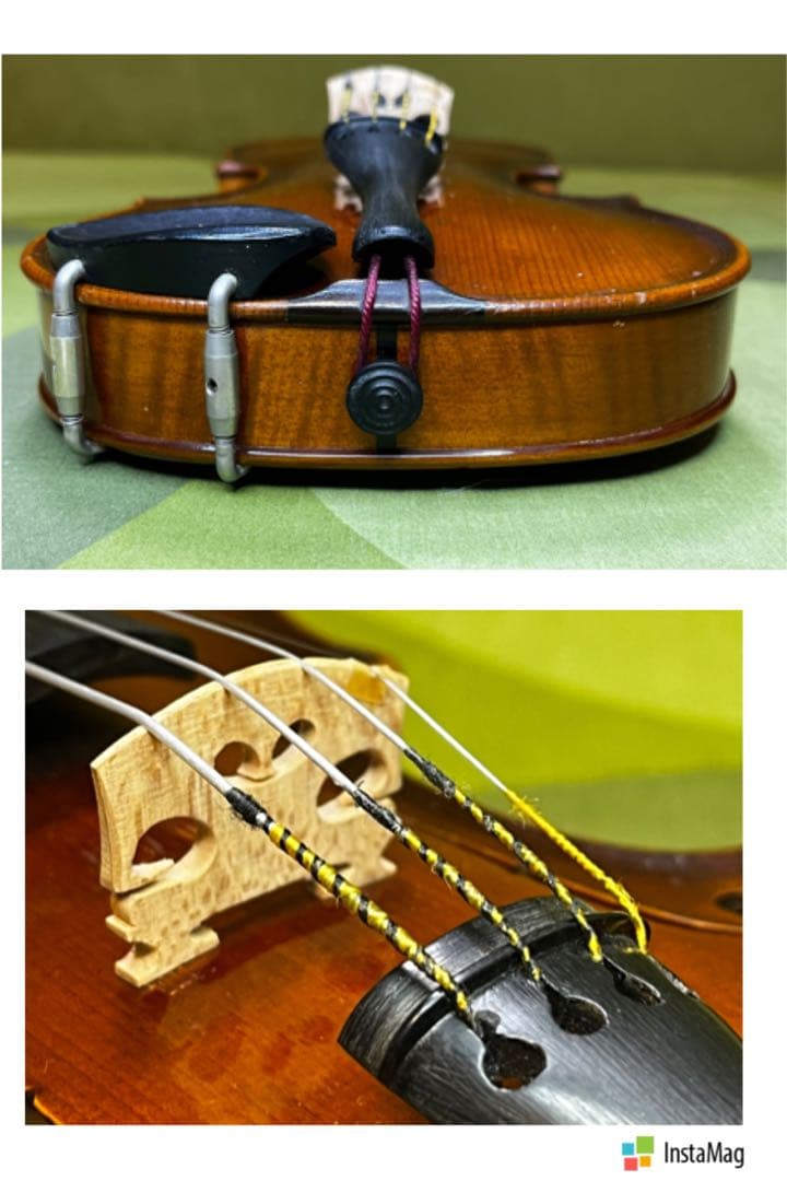 【希少⭐️1/10】Shiro Suzuki バイオリン鈴木士郎 特1