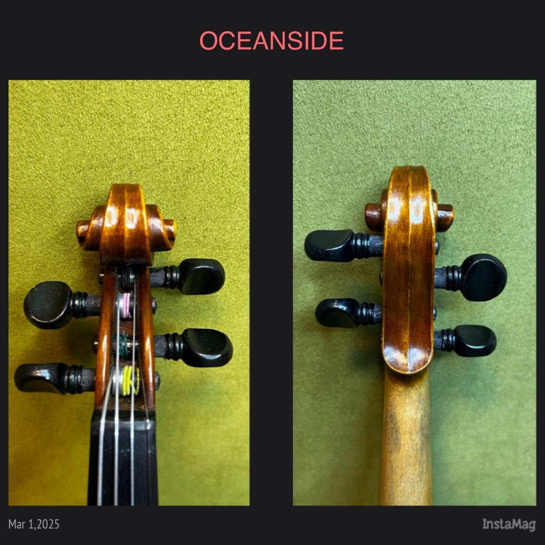 【希少⭐️1/10】Shiro Suzuki バイオリン鈴木士郎 特1