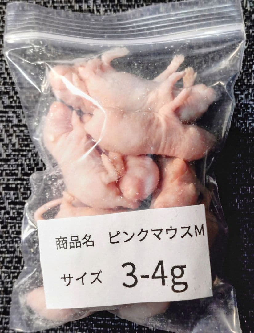 送料無料 冷凍マウスリタイア20匹 ピンクM30匹