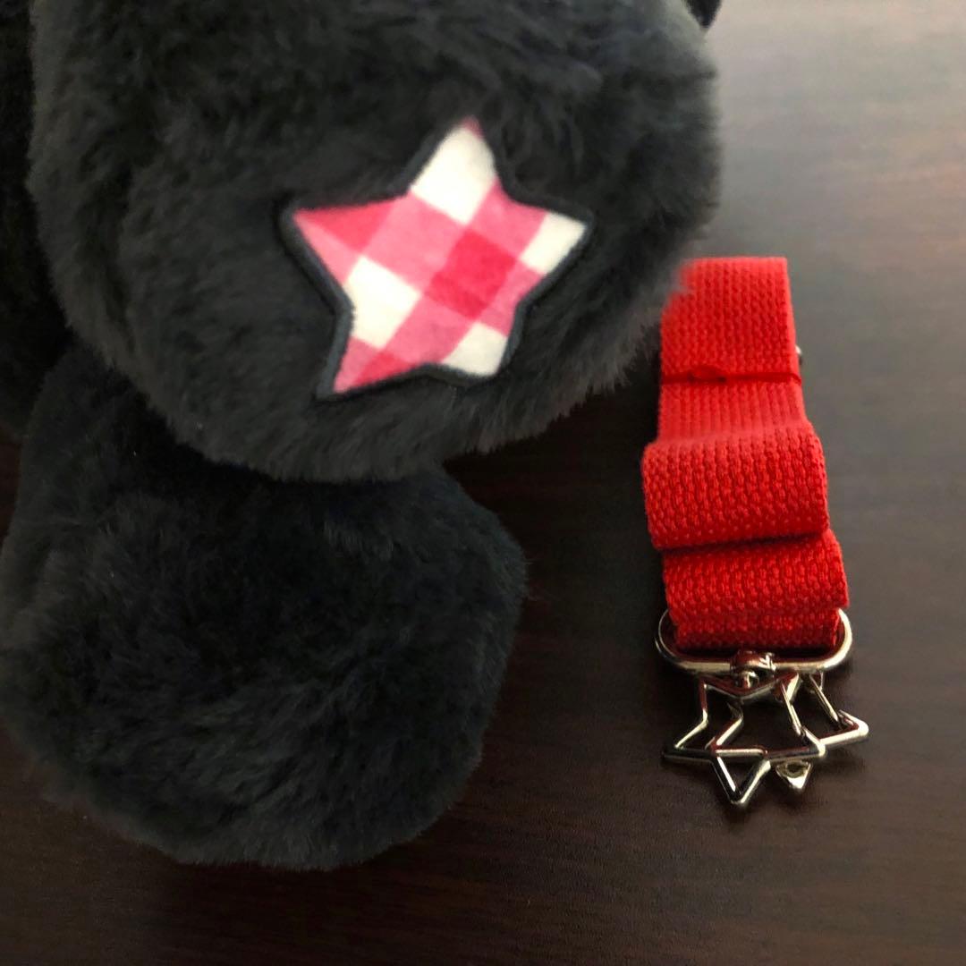 NCT WISH リク キャラクターバッグ トレカ付き ソウルコンMD