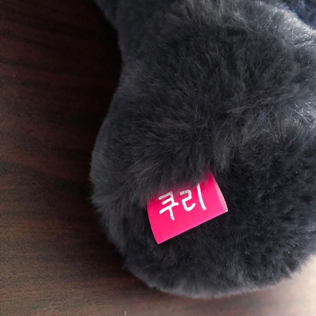 NCT WISH リク キャラクターバッグ トレカ付き ソウルコンMD