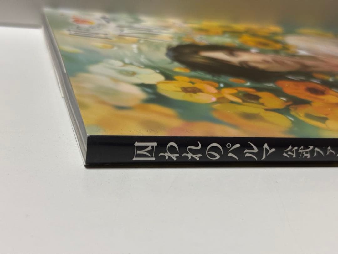 囚われのパルマ 公式ファンブック - メルカリ