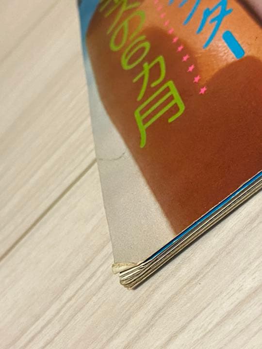 アグネス ラム 特集号　映画ファン　7月臨時増刊号　【希少】