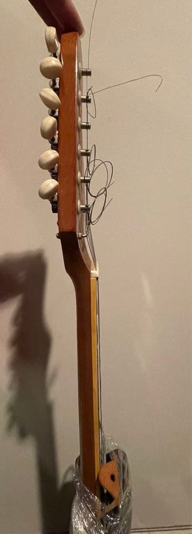 エレキギター 楽器 趣味 機材 コレクション インテリア 一点もの 年代物