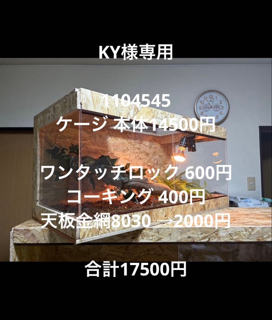 KY　1104545 Tênis Chunky Masculino QIX Trek Bege 52020009