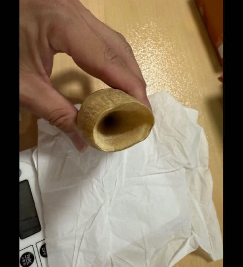 ■抹香鯨 鯨歯 牙