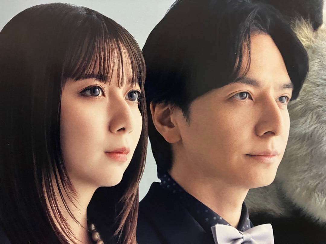 パンダより恋が苦手な私たち　Ｂ3サイズポスター　上白石萌歌　生田斗真　非売品