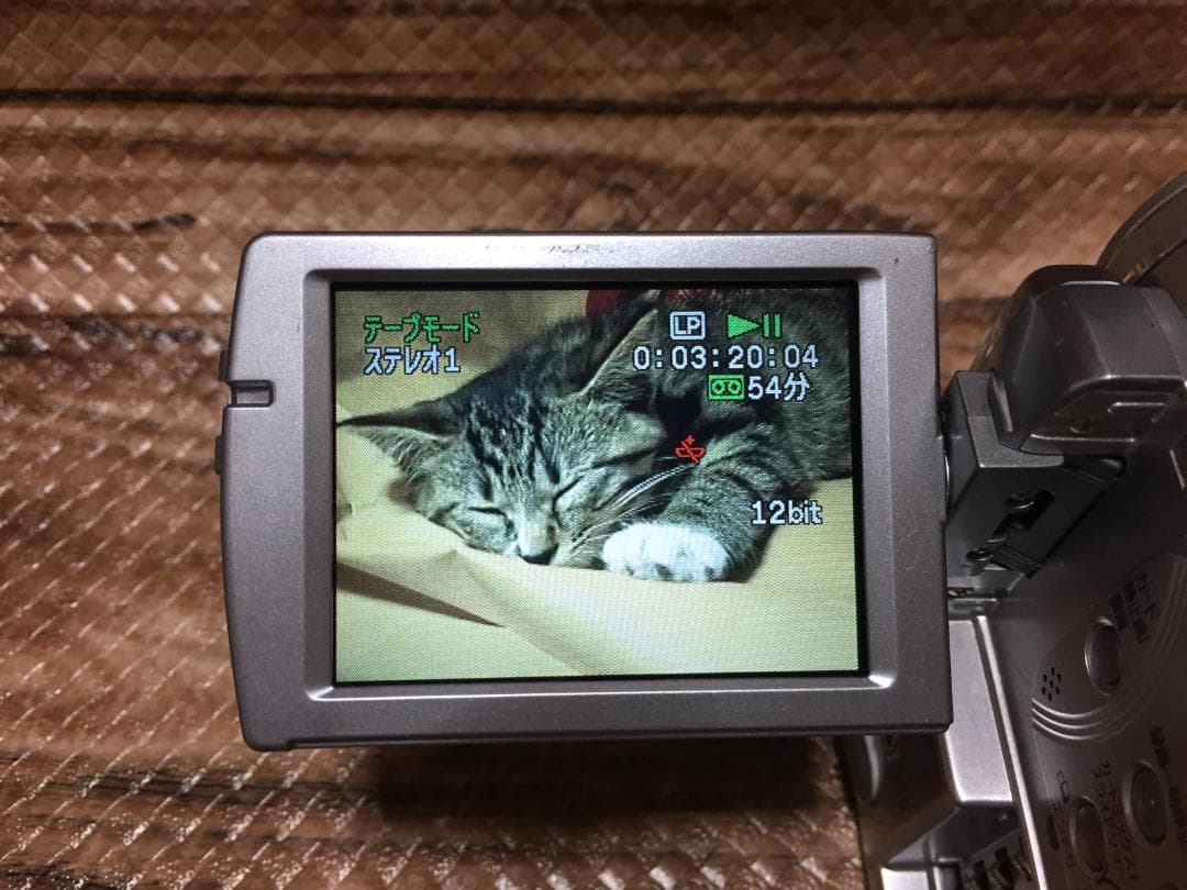 撮影再生ダビングOK Canon DM-IXY DV M3 付属品あり 液晶綺麗