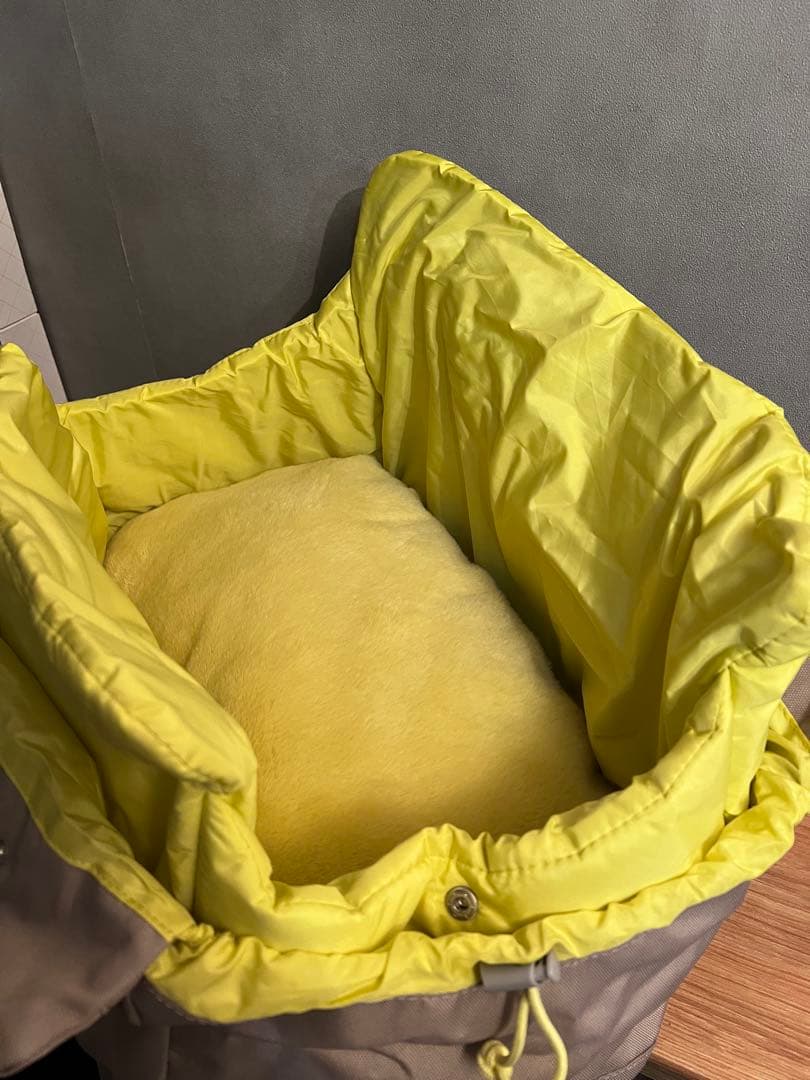 《 韓国 arrr 》 humming bag 犬用キャリーバッグ