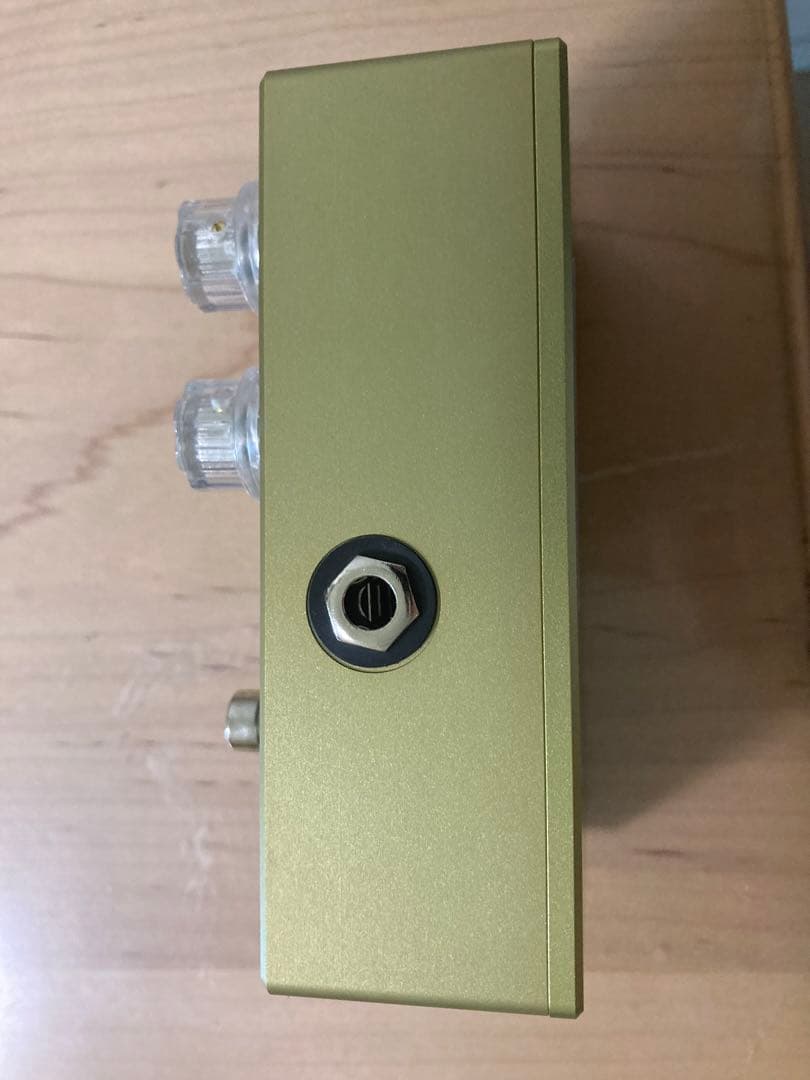 AlteroCustomGuitars 初期 楓