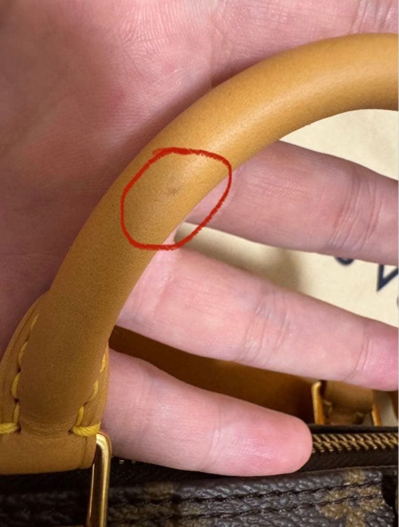 Louis Vuitton ナノスピーディー