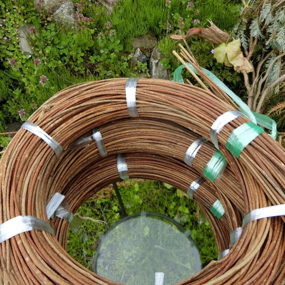 エミリー　青森岩木山　あけび蔓　150cm～ 3kg