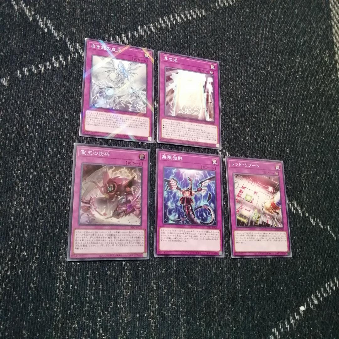 遊戯王　原石　青眼　デッキ　原石の皇脈　月華竜　[03510]