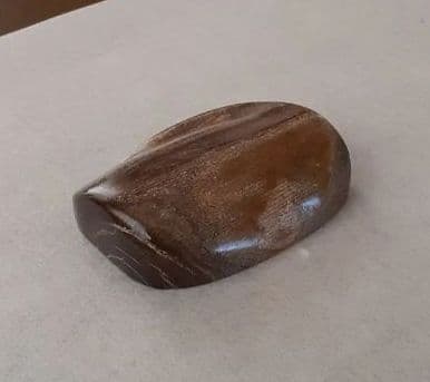 121.世界にひとつだけ！青珊瑚(レインボーコーラル)のアクセサリー