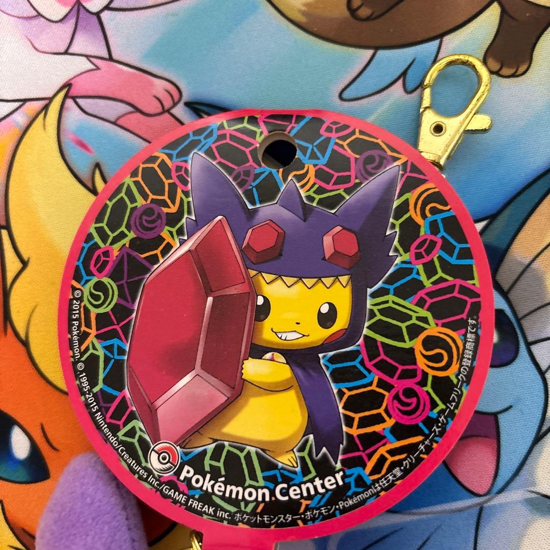 ポケモンセンター マスコット メガヤミラミのポンチョを着たピカチュウ