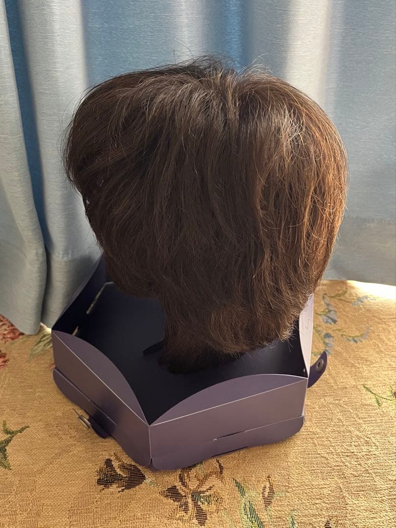 FONTAINE フォンティーヌ ウィッグ