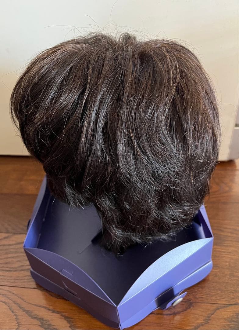 FONTAINE フォンティーヌ ウィッグ