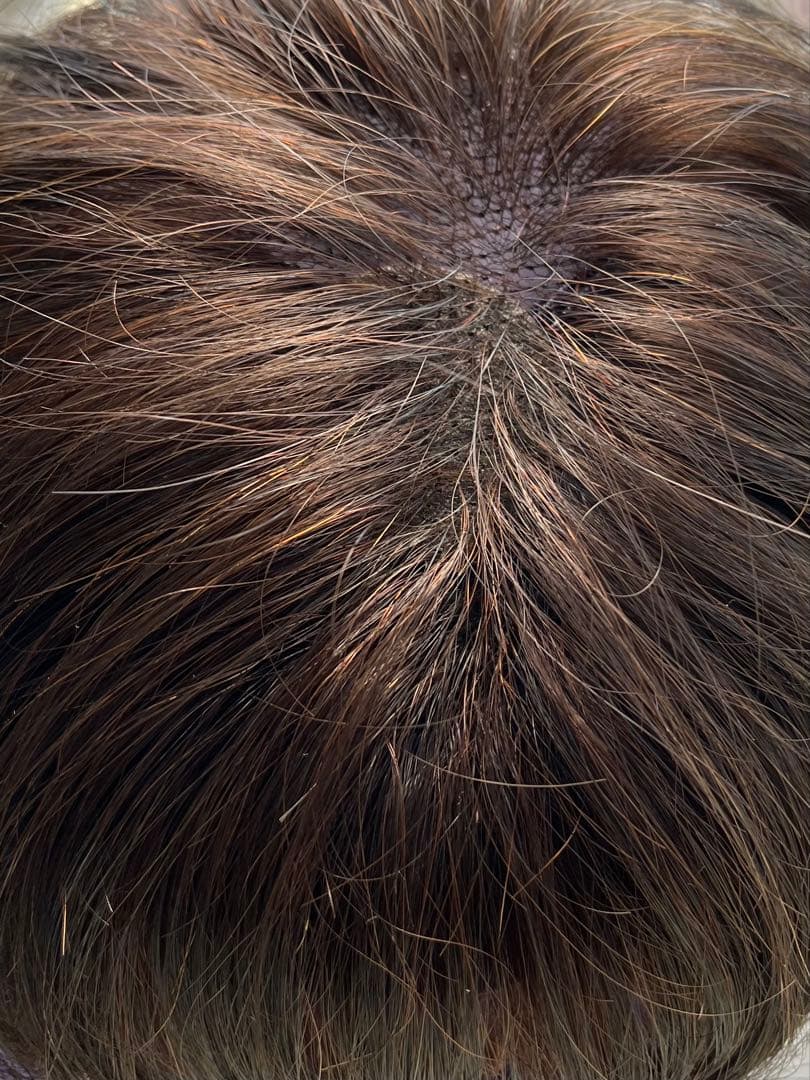 FONTAINE フォンティーヌ ウィッグ