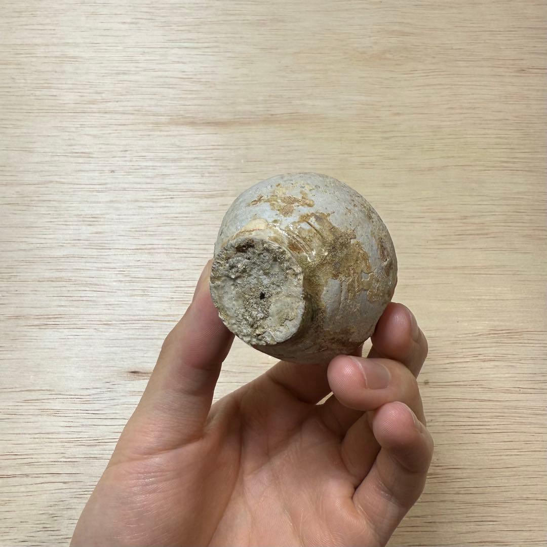 古瀬戸 小壷 分骨壺 鎌倉時代 陶片 発掘品 古美術 民