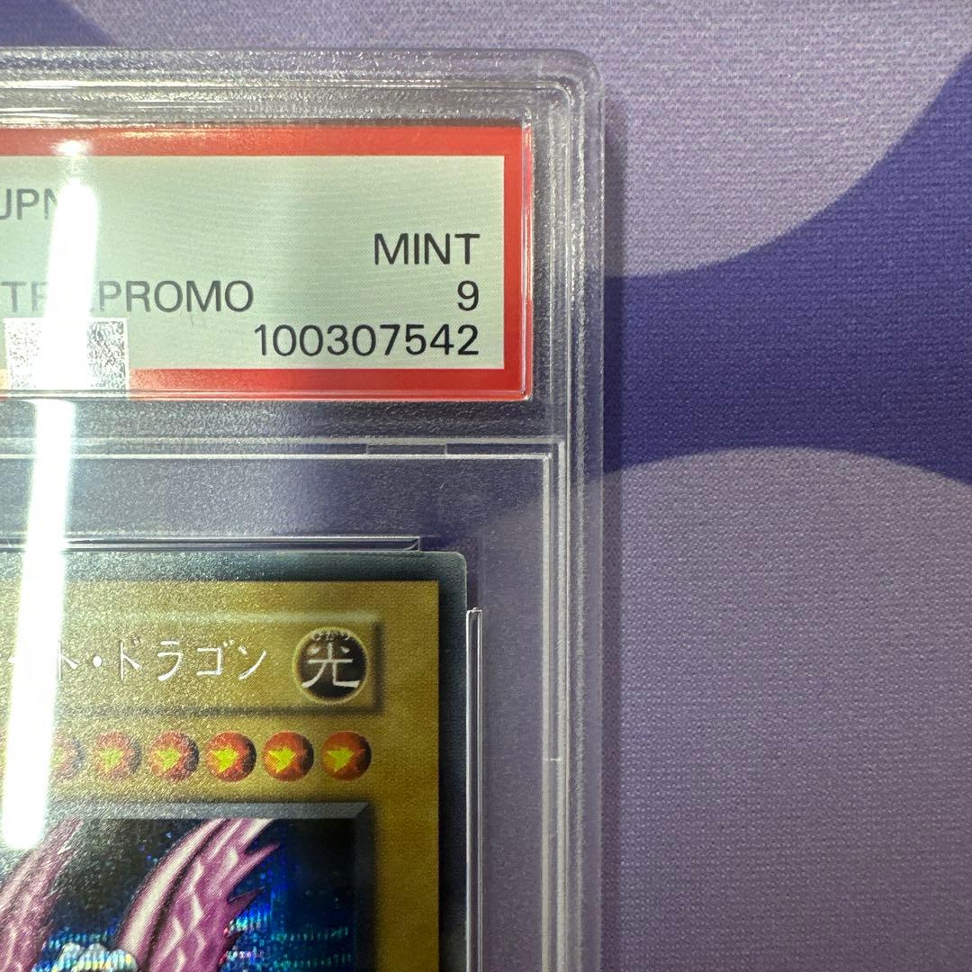 p*e様 ホーリーナイト・ドラゴン　初期　psa9