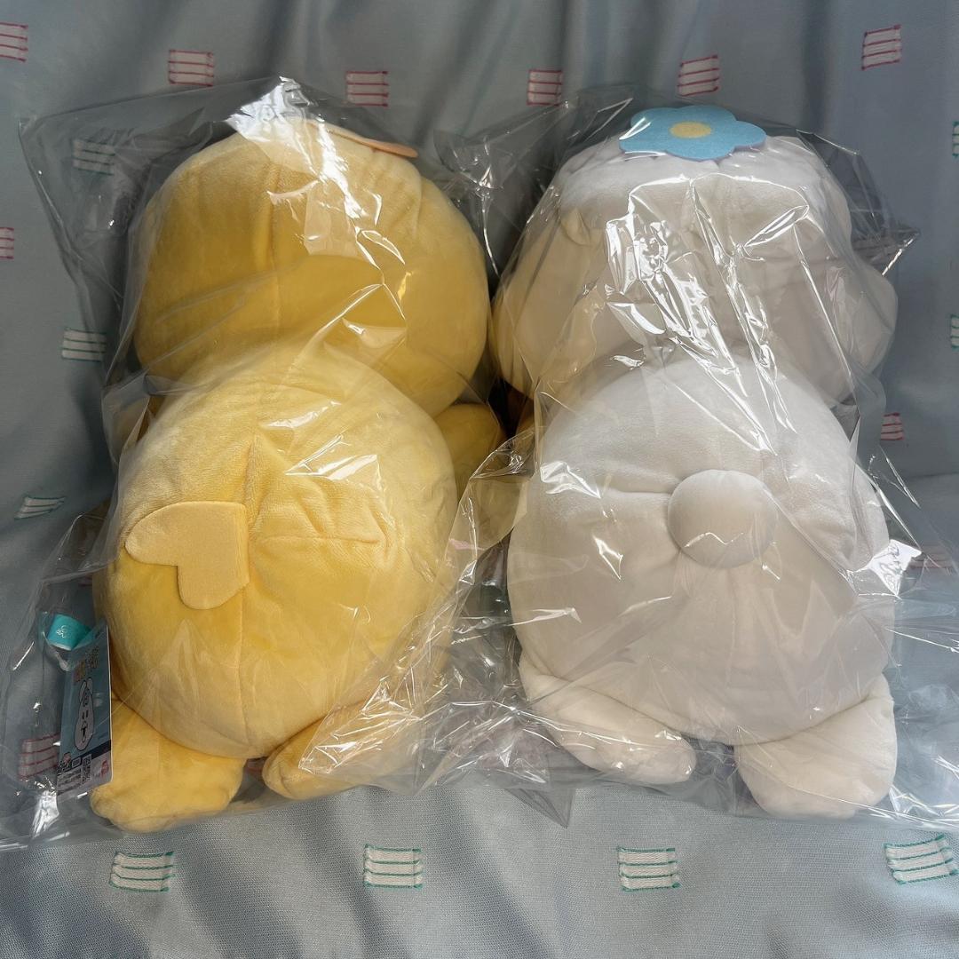 【んぽちゃむ】いっしょにねんね BIG ぬいぐるみ 2種 ×5セット（10体）