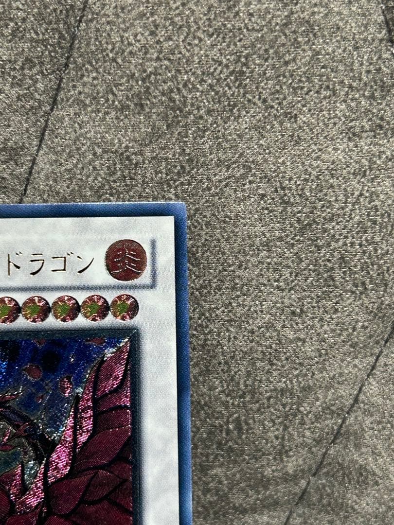 s*u様 ブラック・ローズ・ドラゴン レリーフ　美品