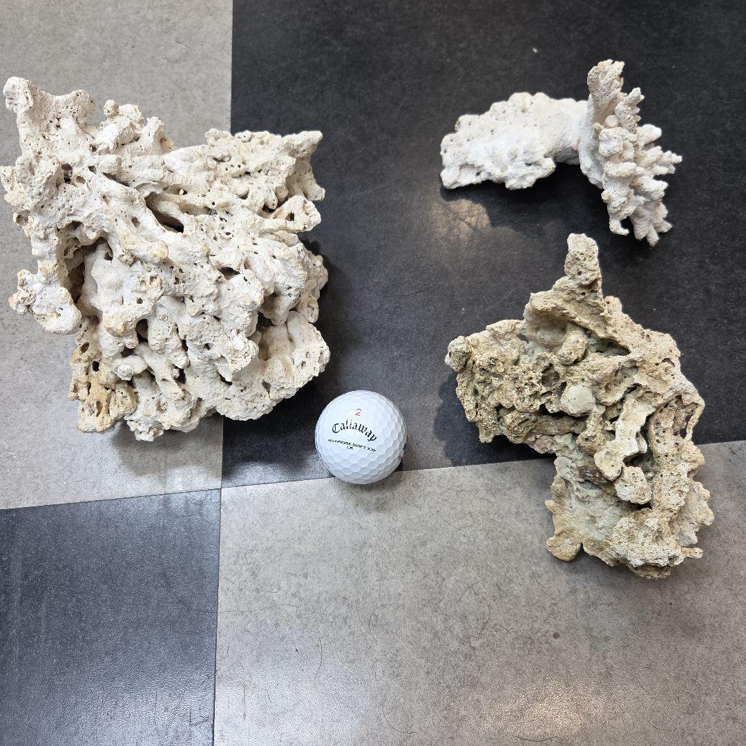 値下げ 水槽用サンゴ石セット ライブロック 海水 淡水