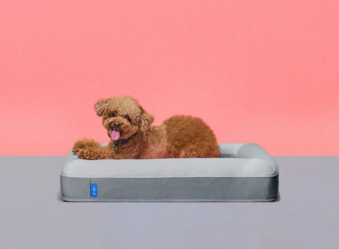 gugu ドギー 犬用ベッド　Sサイズ 小型犬　グレー グーグースリープ【公式】｜犬用ベッド｜超小型犬・小型犬・中型犬