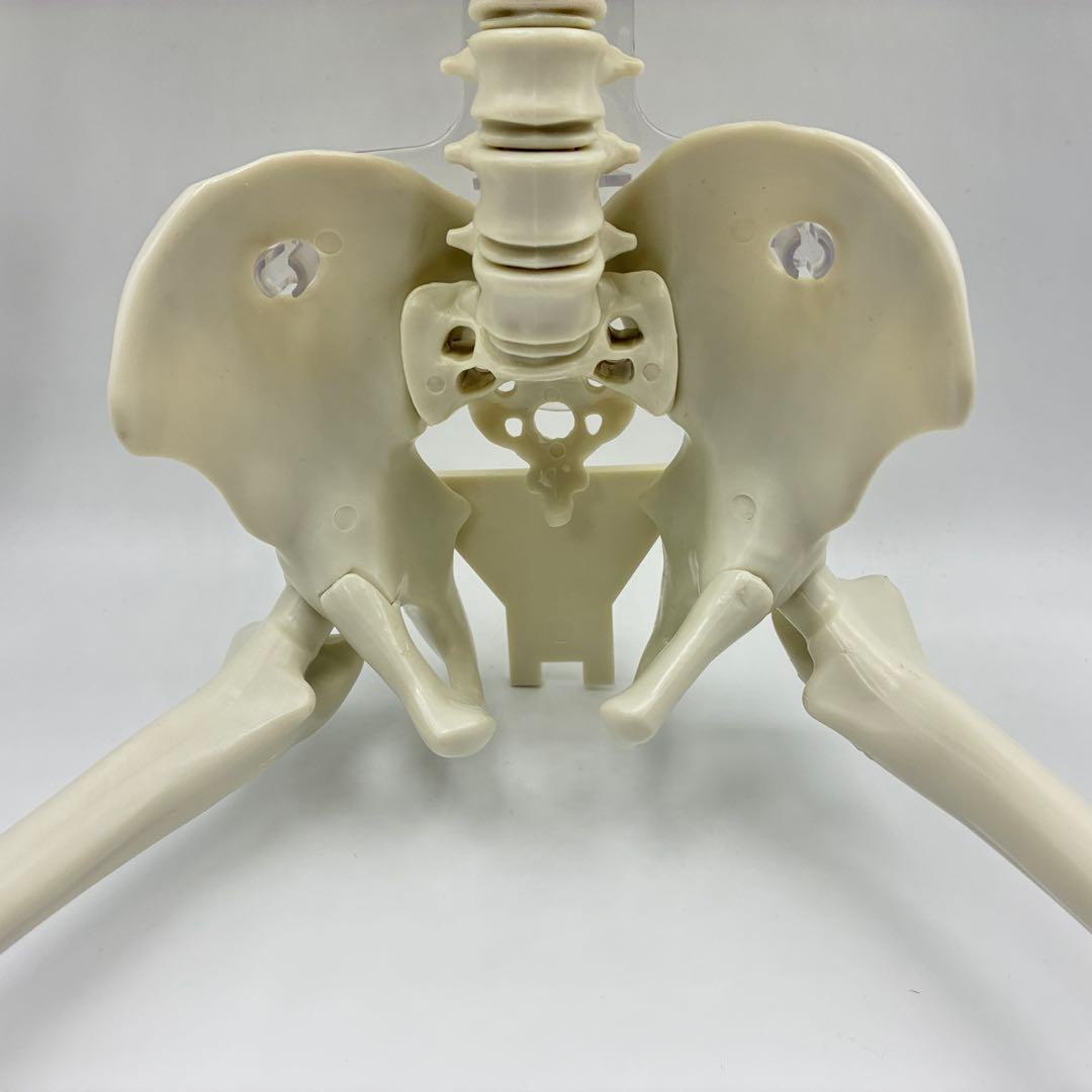 デアゴスティーニ　おしゃべりガイコツ　ホネッキー1～70