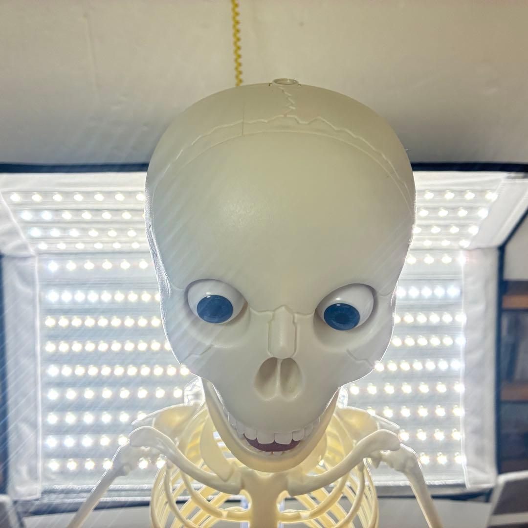 デアゴスティーニ　おしゃべりガイコツ　ホネッキー1～70