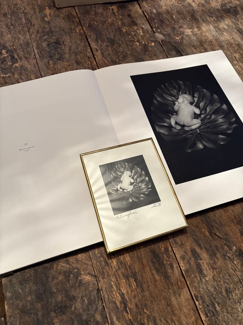 Larry LaBonte写真集+直筆サイン入額装写真アート本 - メルカリ