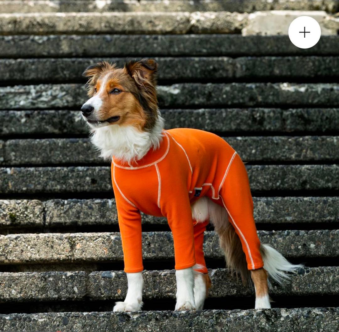 アルファアイコン ホットドッグガード 1XL