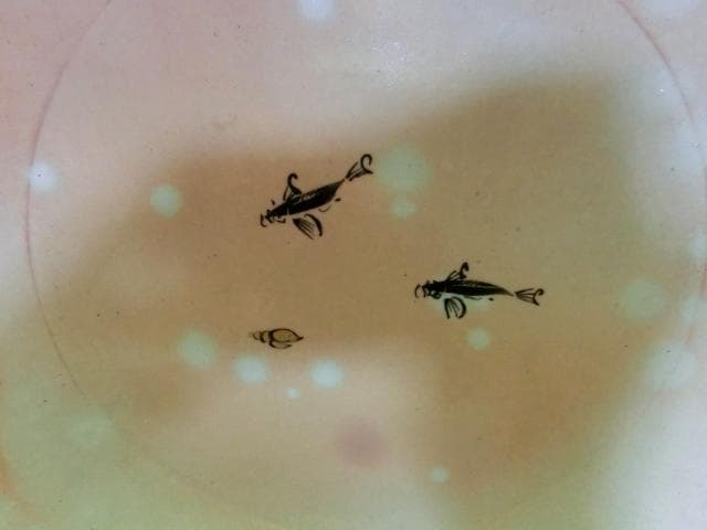 皿□魚 貝 【番浦史郎】ばんうらしろう ピンク 京焼 土物