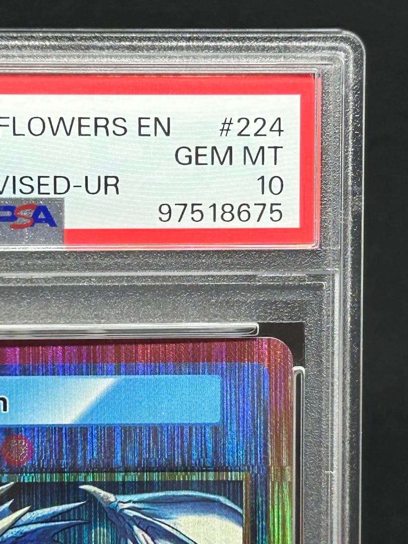 108フラワーズ revised 英語 RedDragon BlueDragon