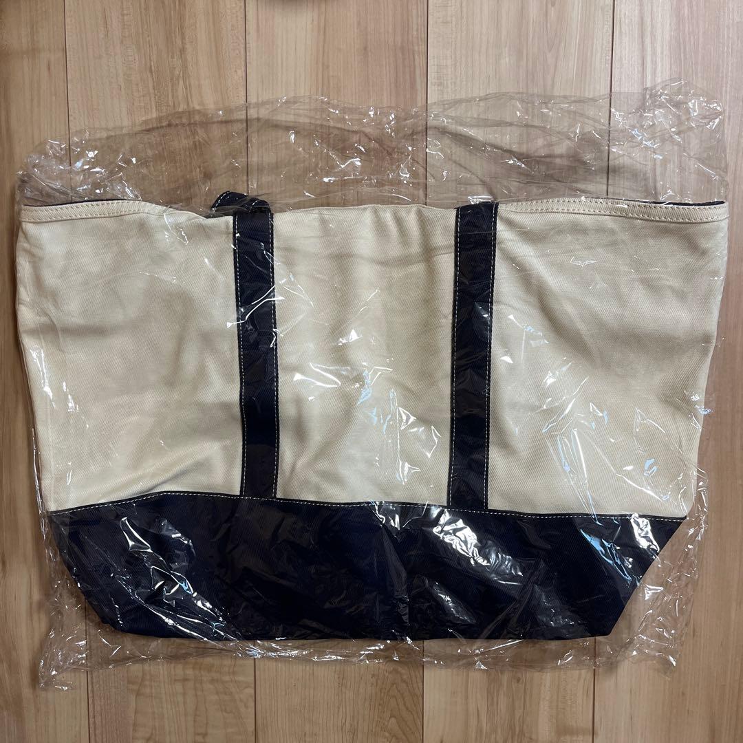 FANTASTICS buddix トートバッグ 新品未開封