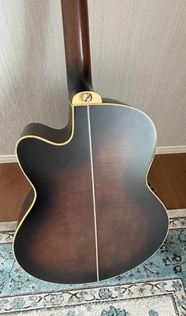 Ibanez AEL125ERD エレアコ ブラック