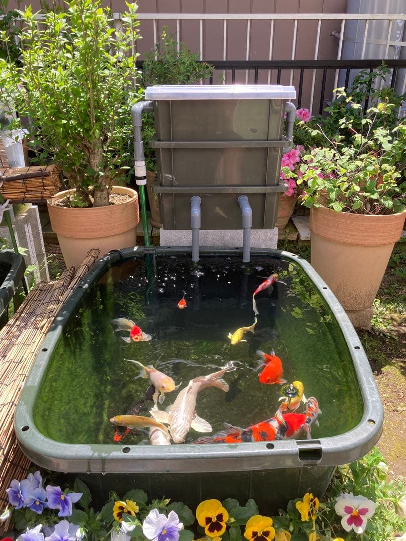 DIY】三段式外部ろ過装置（個人製作濾過装置）【メダカ・金魚・錦鯉の