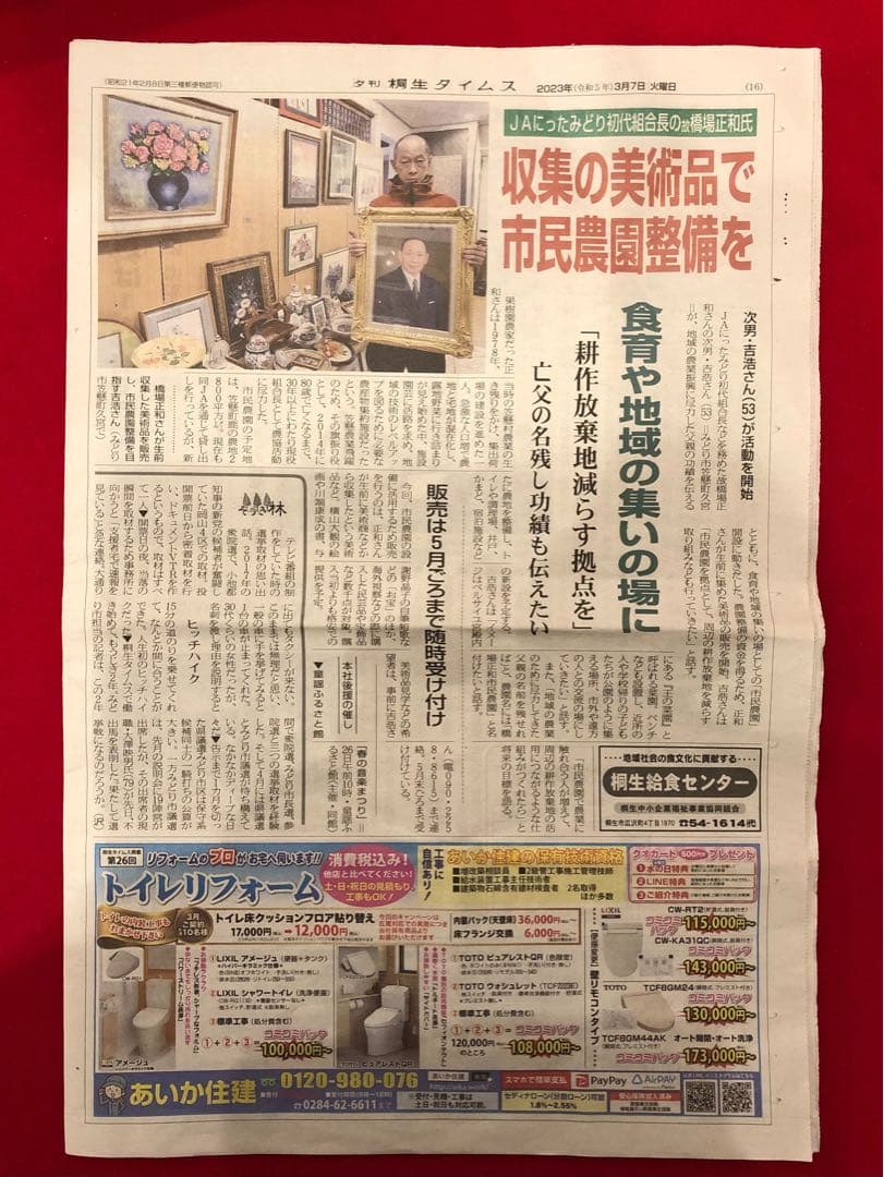 花乙女コレクション【中井智子 鏡の向こう】購入金額より60％お値引き