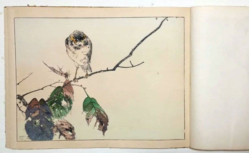 稀省亭版画花鳥画帖12図柄入り渡辺省亭画、明治後期頃