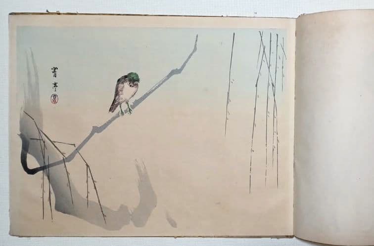 稀省亭版画花鳥画帖12図柄入り渡辺省亭画、明治後期頃