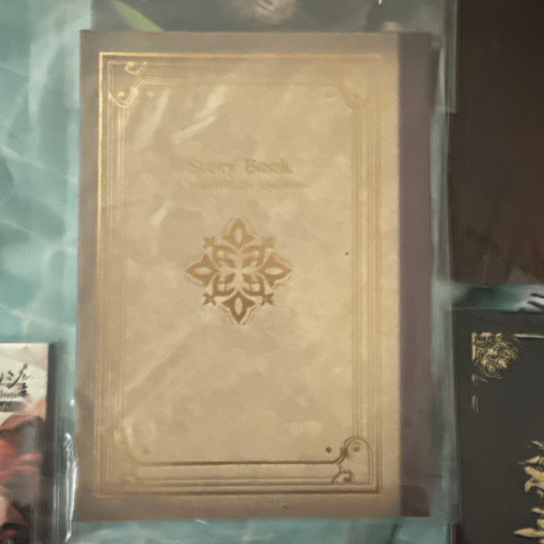 終遠のヴィルシュ 小冊子 特典