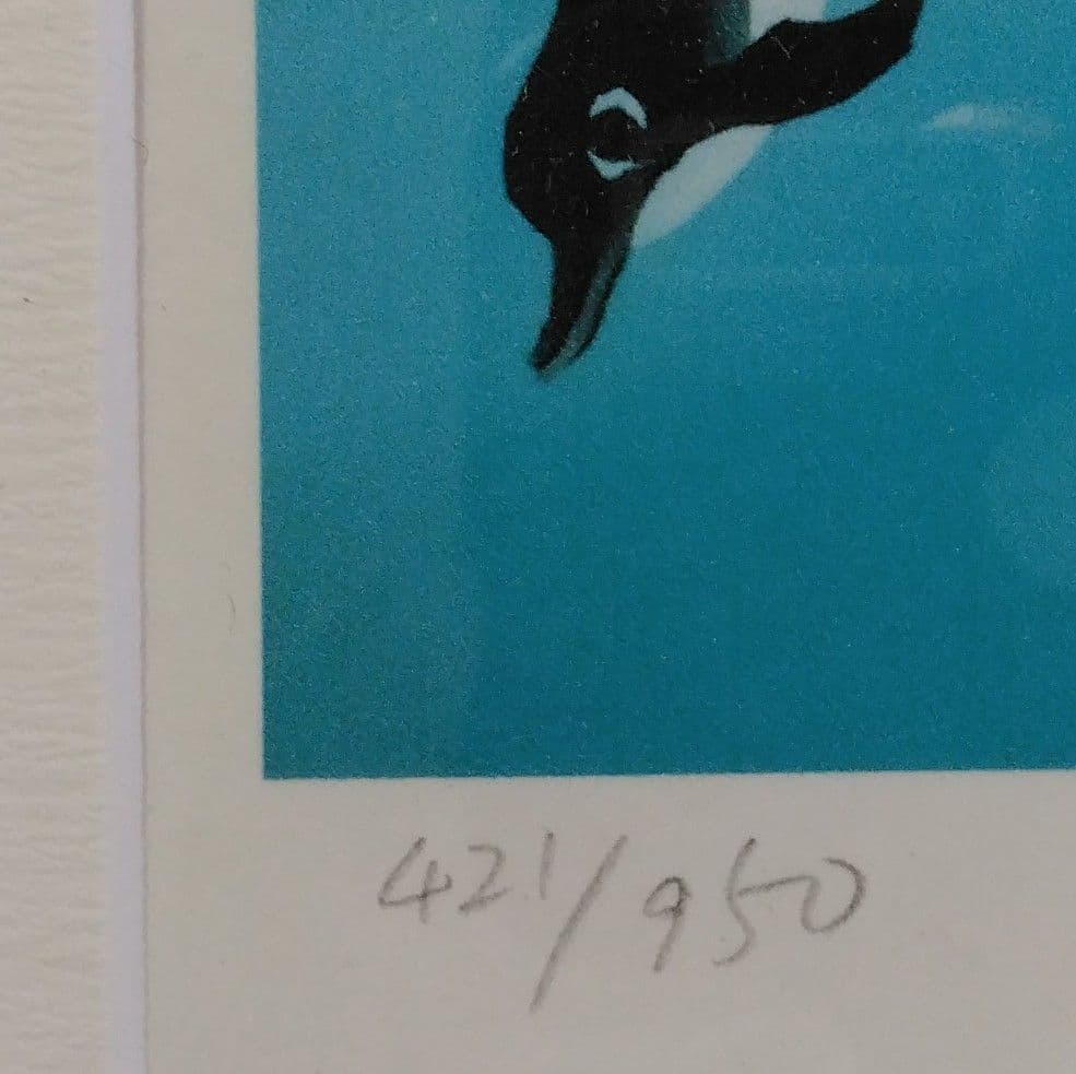 藤城清治　レフグラフ　四季のメルヘン　夏　ジェノヴァの海